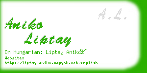 aniko liptay business card